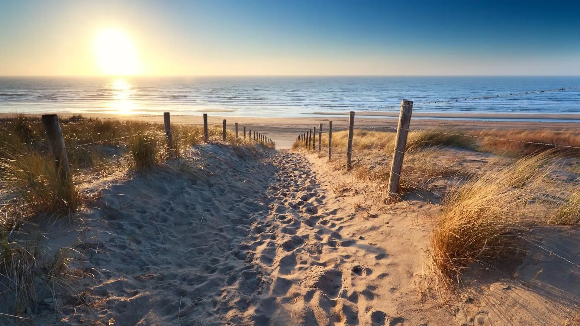 Ferienwohnung Skua Escape Zandvoort